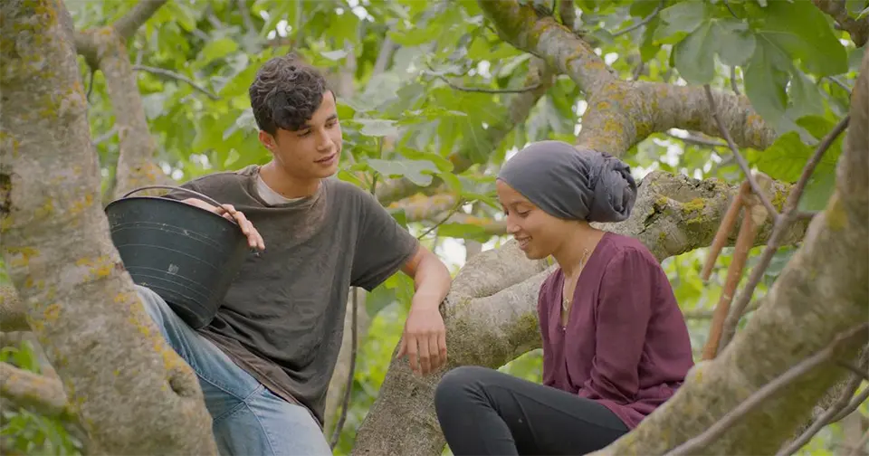 Sous les figues, prix du jury 2023