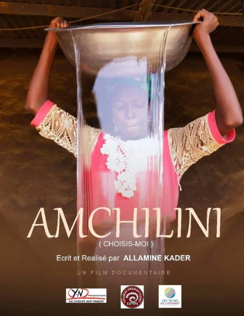 Affiche du film Amchilimi