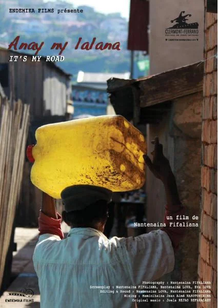 Affiche du film Anay ny lalana