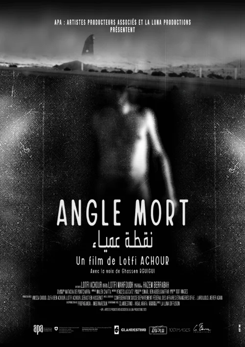 Affiche du film Angle mort