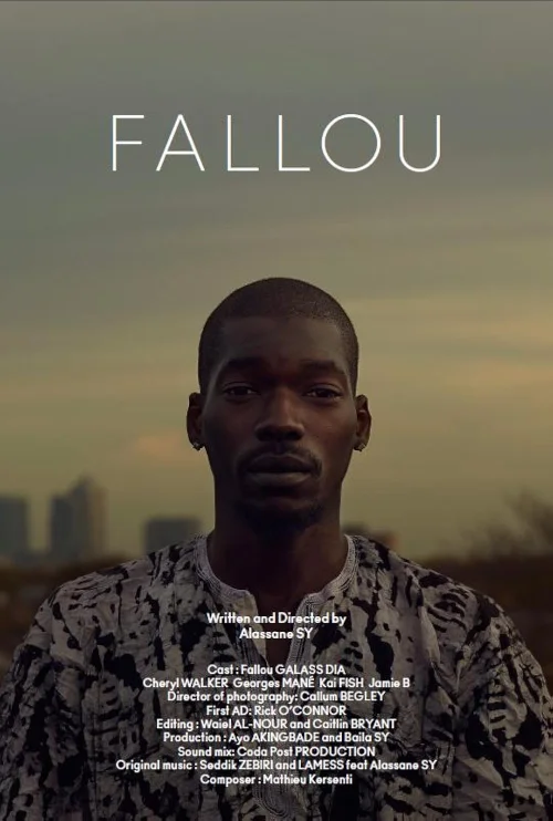 Affiche du film Fallou