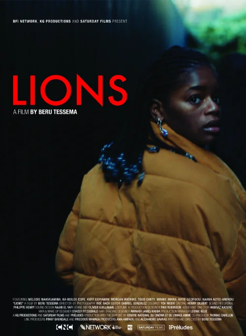 Affiche du film Lions