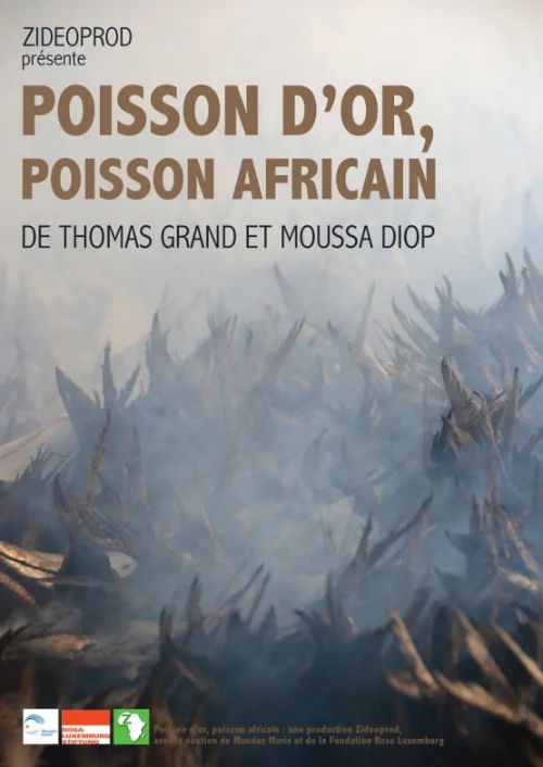 Affiche du film Poisson d'or, poisson africain