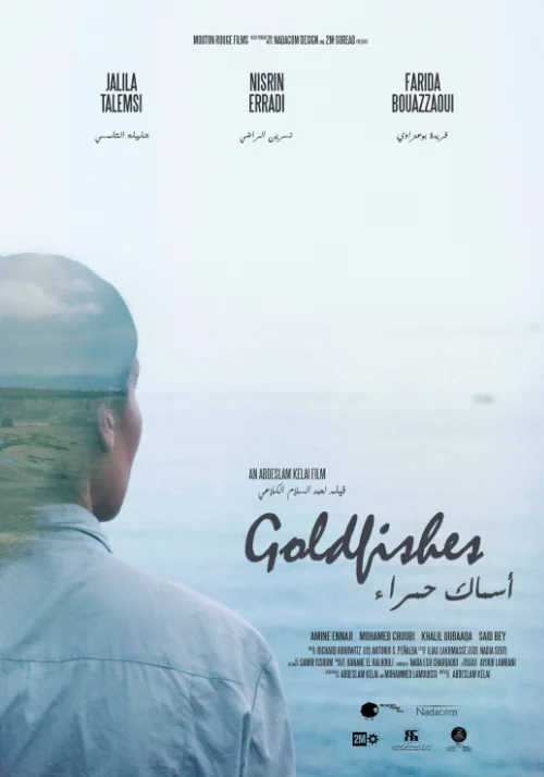 Affiche du film Poissons rouges