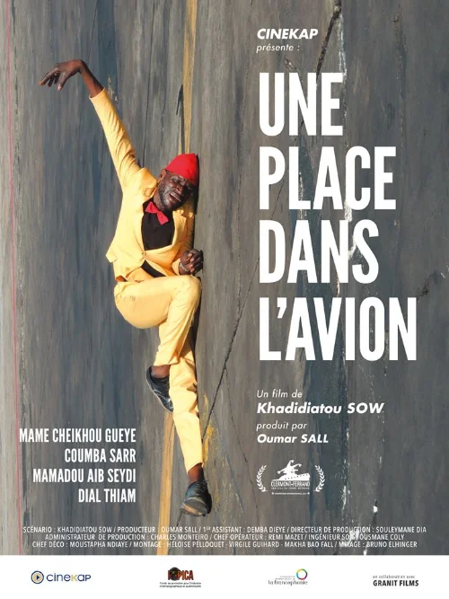 Affiche du film Une place dans l'avion