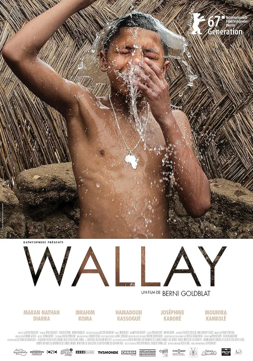 Affiche du film Wallay