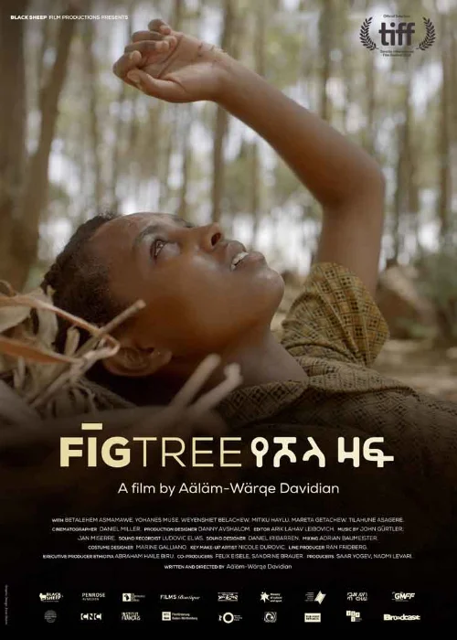 Affiche du film Le figuier