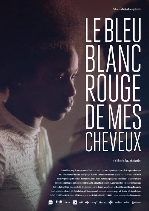 Affiche du film Le blau blanc rouge de mes cheveux