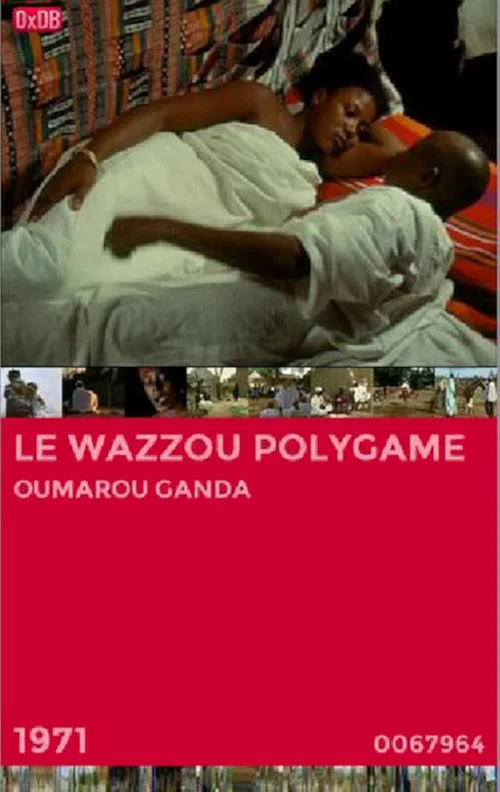 Affiche du film Le wazzou polygame