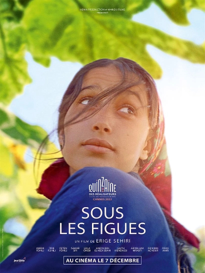 Affiche film Sous les figues